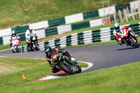 cadwell-no-limits-trackday;cadwell-park;cadwell-park-photographs;cadwell-trackday-photographs;enduro-digital-images;event-digital-images;eventdigitalimages;no-limits-trackdays;peter-wileman-photography;racing-digital-images;trackday-digital-images;trackday-photos